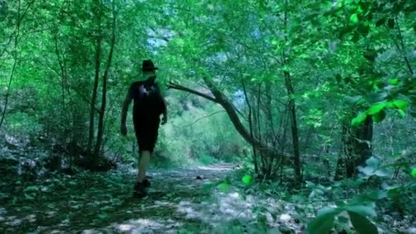 Man Walking Backpack Male Hiking Nature Green Forest Landscape White — Stockvideo