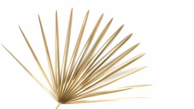 Altın tropik palmiye yaprağı. Beyazda izole edilmiş. Yüksek kaliteli doğa videosu. Metin için boş alan. Egzotik moda modern arka plan. Yaz arkaplanı. 