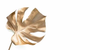 Altın tropik palmiye yaprağı. Beyazda izole edilmiş. Yüksek kaliteli doğa videosu. Metin için boş alan. Egzotik moda modern arka plan. Yaz arkaplanı. 