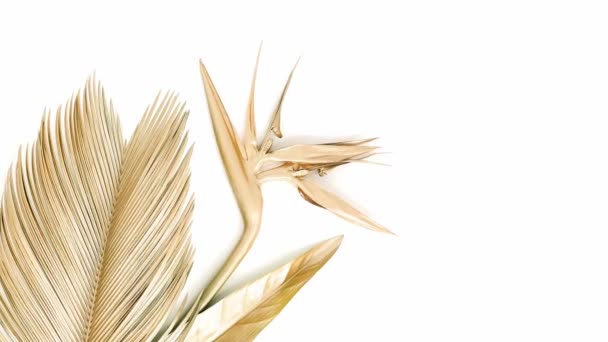 Золота Тропічна Пальма Квітка Стреліці Ізольовані Білому Якісне Відео Про — стокове відео