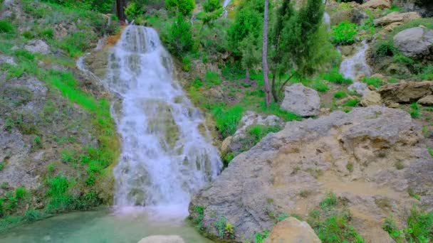 Прекрасний Великий Водоспад Реальному Часі Скелі Камені Зелені Дерева Кущі — стокове відео