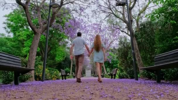 Прекрасний Парк Квітучою Фіолетовою Джакарандою Романтична Магія Зелене Листя Пилу — стокове відео