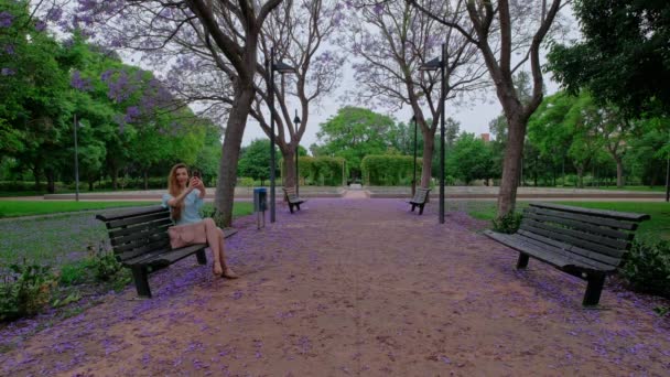 女人在用电话自作主张 美丽的公园 开着紫色的雅卡兰达 浪漫的魔法气氛绿叶茂密 夏季自然 — 图库视频影像