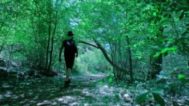 Adam sırt çantasıyla yürüyor. Erkek doğa yürüyüşü yapıyor. Yeşil orman manzarası. Beyaz kavak tüyü ve orman zeminini kaplayan tohumlar. Yeşil bitkiler, ağaçlar ve çimenler. Doğada güzellik.
