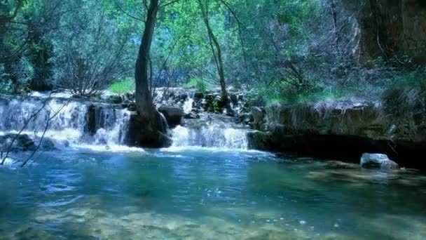 野生の森で美しい妖精の滝 新鮮な水の滝の川が流れる 轟音ストリームを実行して森の岩 緑豊かな自然のパノラマの風景 — ストック動画