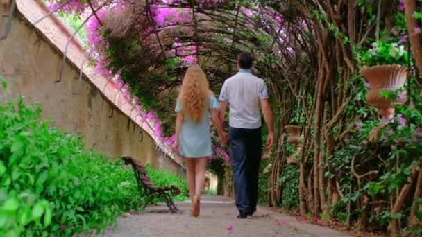 ピンク色のスペインのブーゲンビリアの花が咲く公園の美しいトンネル 枝を持つロマンチックな魔法の雰囲気 夫婦は歩いて手を握っている 自然景観水平ビデオ — ストック動画