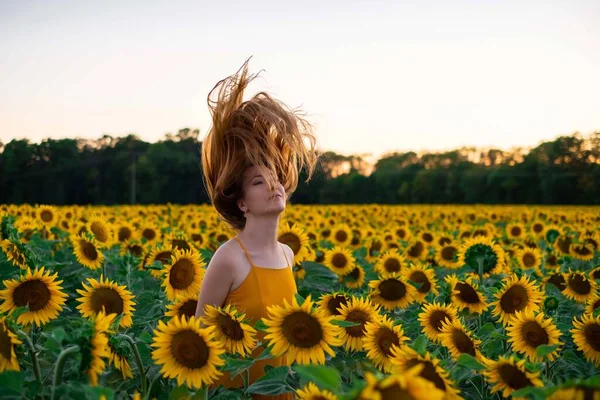 Slunečnicové Pole Při Západu Slunce Žena Dlouhými Vlasy Tancuje Mnoho — Stock fotografie