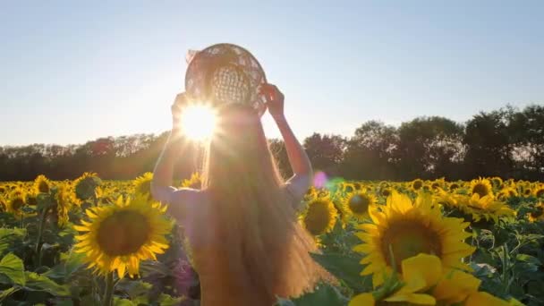 Sunflowers Field Sunset Woman Long Hair Hat Many Beautiful Yellow — Vídeo de stock