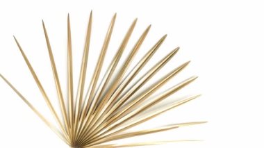 Altın tropik palmiye yaprağı. Beyazda izole edilmiş. Yüksek kaliteli doğa videosu. Metin için boş alan. Egzotik moda modern arka plan. Yaz arkaplanı. 