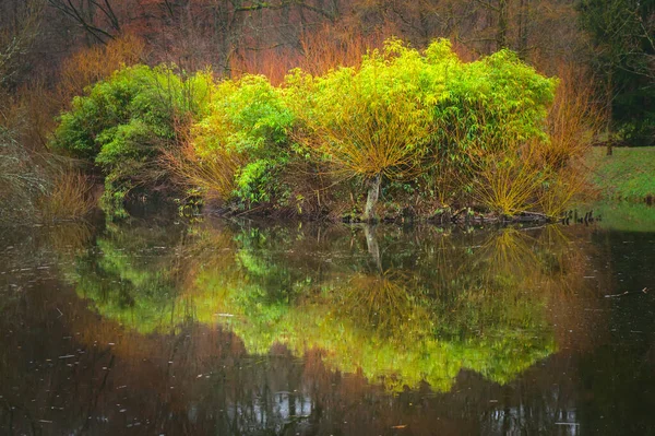Herbstliche Waldkulisse Reflexion Der Bäume Auf Der Wasseroberfläche Des Sees — Stockfoto