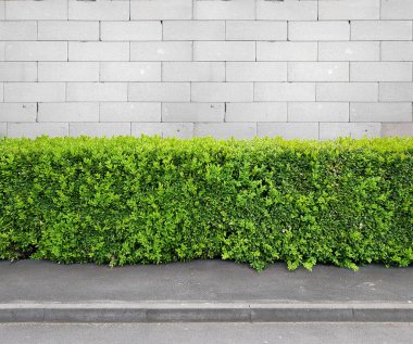 Kentsel beyaz blok duvarı, kaldırım ve çit, kalıp veya kaynak, duvar kağıdı