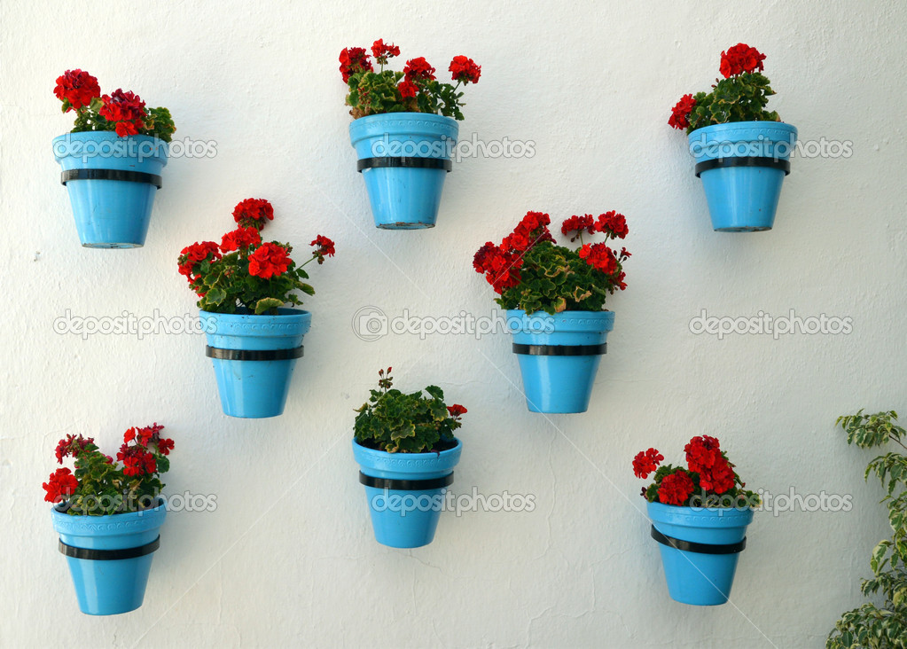 Flowers in flowerpot on wall