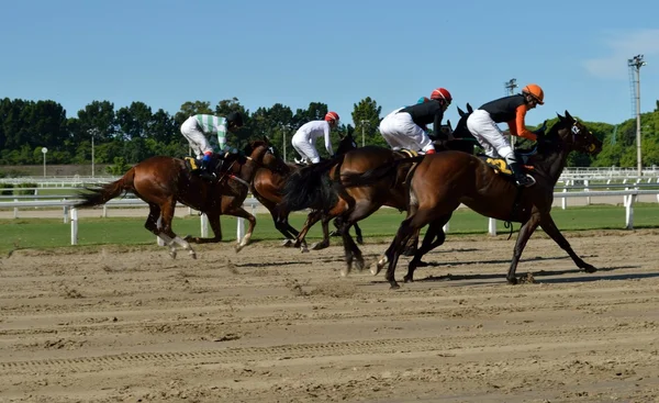 Hipódromo — Fotografia de Stock