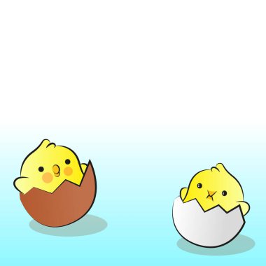 Mavi arka planda yumurta kabuklu iki sevimli çizgi film tavuğu. Vektör illüstrasyonu.