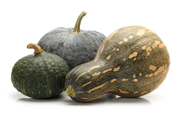 Green pumpkin — Stock Photo, Image