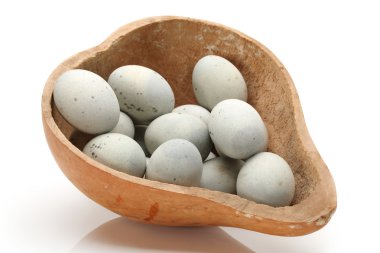 korunmuş ördek yumurta