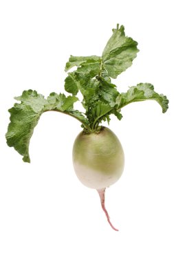 parti sadakat turp