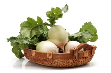 parti sadakat turp