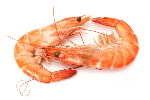 Shrimps — Stock Photo, Image