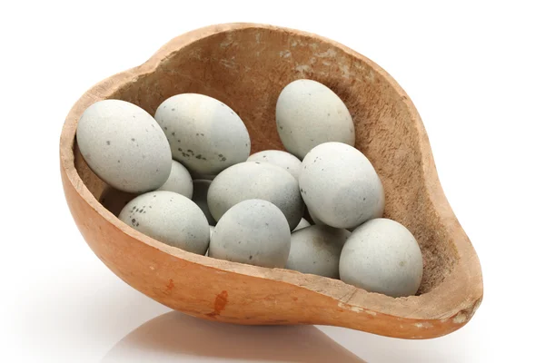 Korunmuş ördek yumurta — Stok fotoğraf