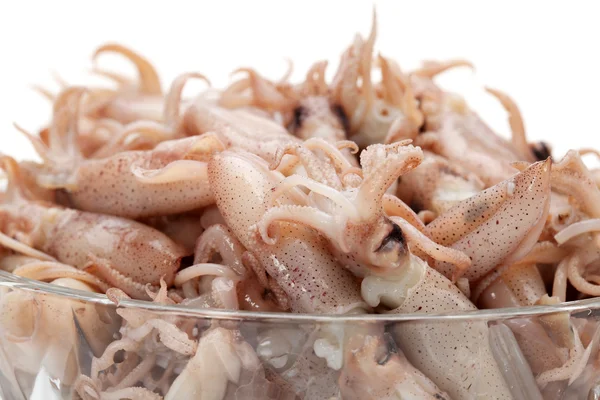Pequeños calamares recién hechos al vapor —  Fotos de Stock