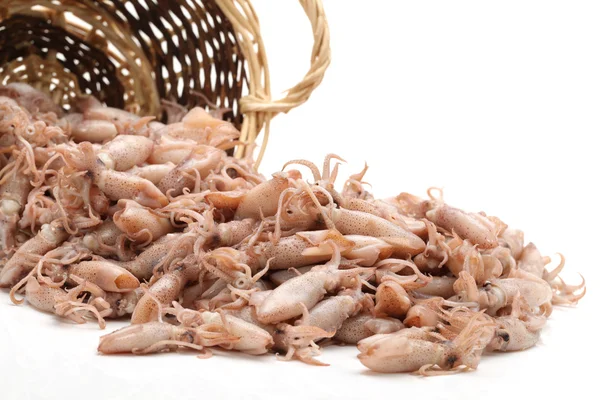 Small Freshly Steamed Squids — Stock Photo, Image