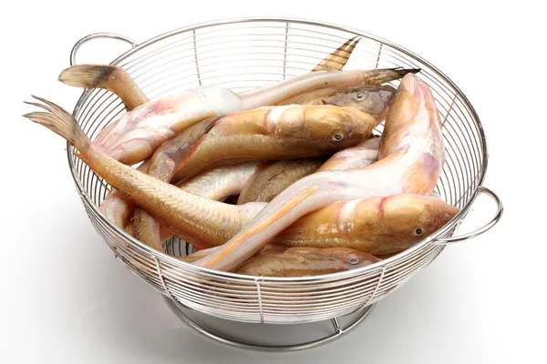 Raw fishes — Stock Photo, Image