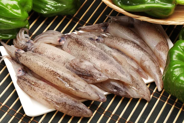 Freshly caught squid — Stock Photo, Image