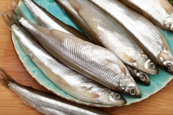 Fish food — Stock Photo, Image