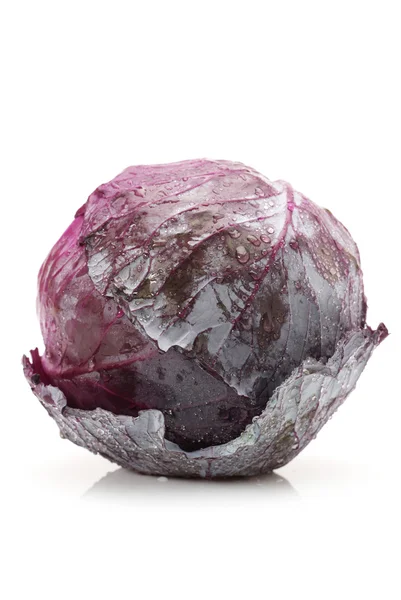 Rotkohl — Stockfoto