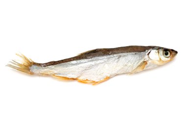 kurutulmuş balıklar