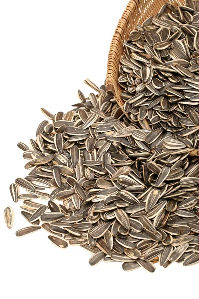 Sunflower seeds — Stock Photo, Image