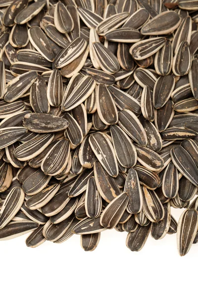 Sunflower seeds — Stock Photo, Image