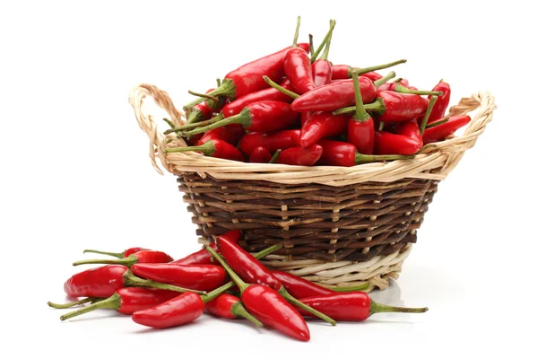 Red hot Chili — Stockfoto