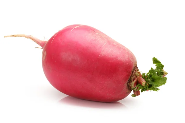 Fresh radishes — Stock Photo, Image