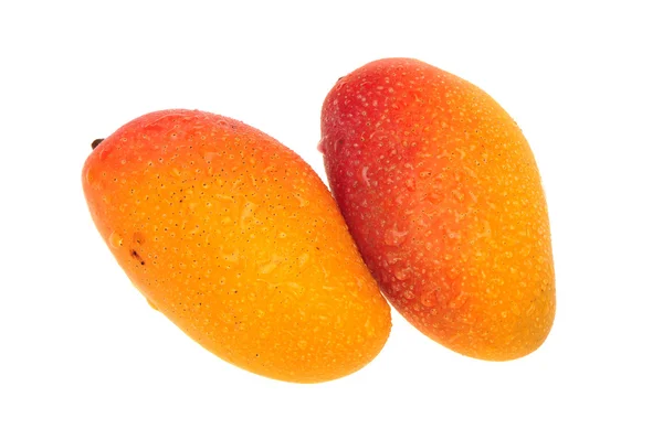 Färsk mango — Stockfoto