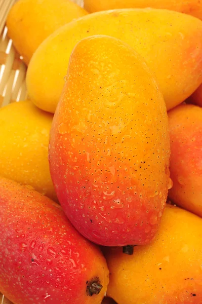 Färsk mango — Stockfoto