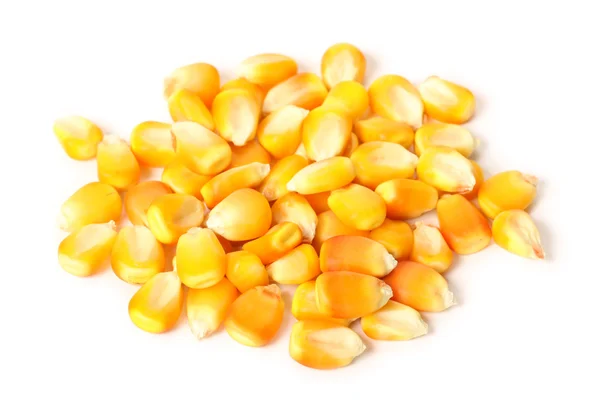 Кукурудза зерно — стокове фото