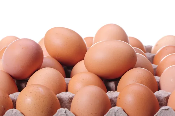 Egg collection — Stock Photo, Image