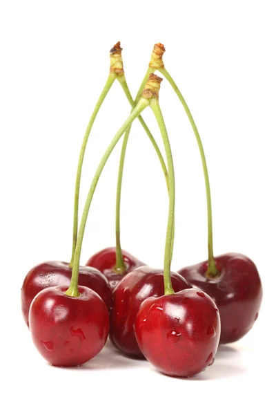 Cherry bessen — Stockfoto