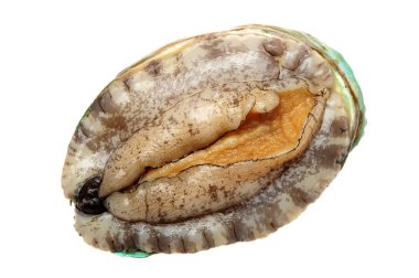 ham abalones