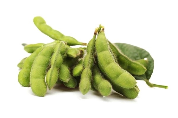 Soja fresca colhida (edamame ) — Fotografia de Stock