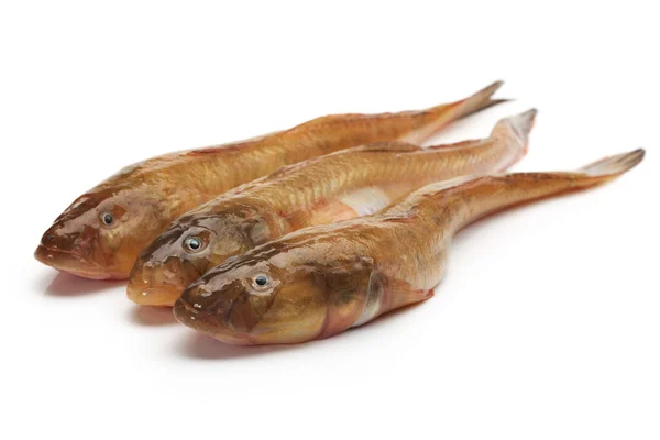 Raw fishes — Stock Photo, Image