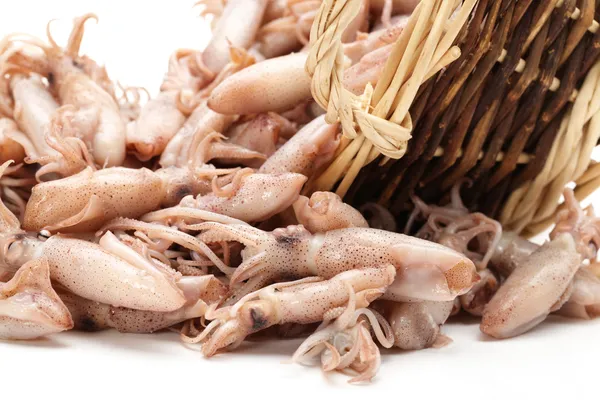 Small Freshly Steamed Squids — Stock Photo, Image