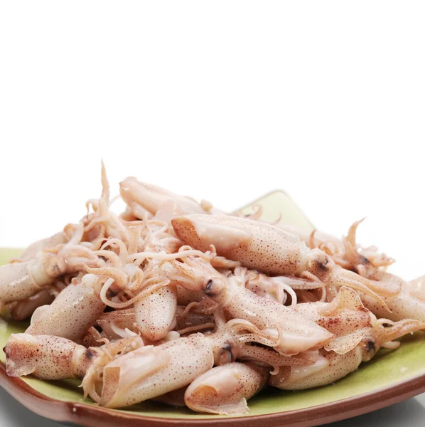 Piccoli calamari appena cotti a vapore — Foto Stock