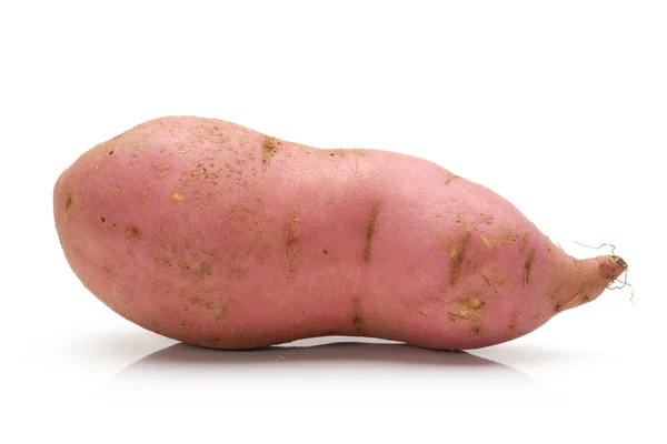 Zoete aardappel — Stockfoto