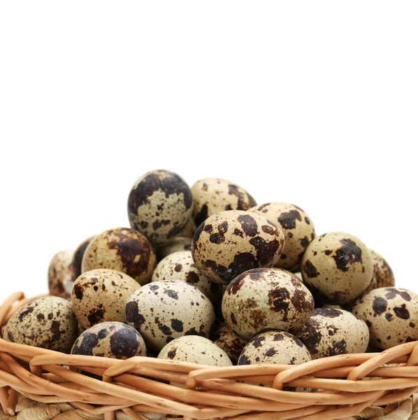 Quail eggs — Stock Photo, Image