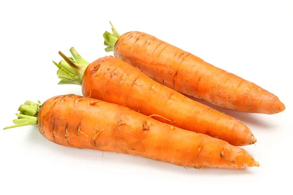 Fresh carrot — Stock Photo, Image