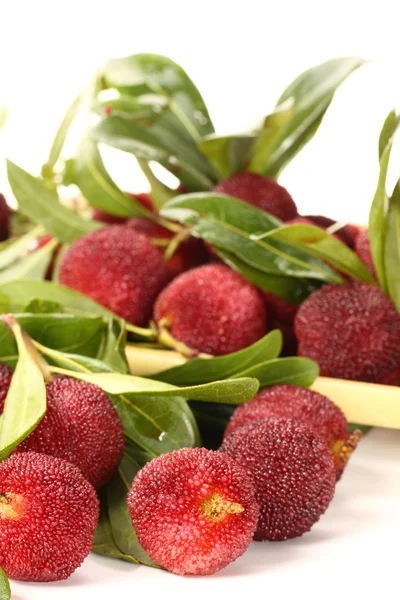 Arbutus and leaf — Stock Photo, Image