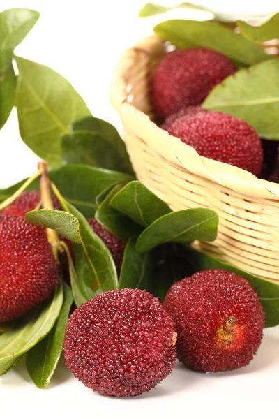 Arbutus och blad — Stockfoto